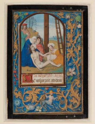 Vollbordürenseite mit Miniatur (Beweinung Christi), Initiale T und Blattrankenbordüre