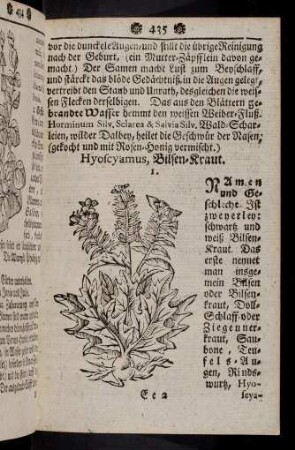 435-446, Hyoscyamus - Jasminum