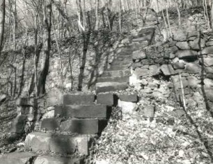 Radebeul, Augustusweg 110. Park der Villa "Jägerberg". Treppe und Mauern eines ehemaligen Weinberges
