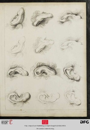 Plate 3. [Ohren (Kontur-Schraffur)]