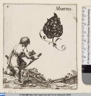 Martius
