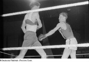 Boxkampf