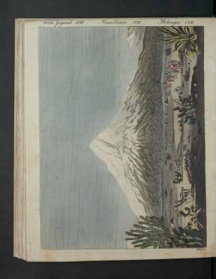 Tafel: Verm. Gegenst. CLXI. [...]