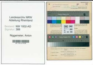 Entnazifizierung Anton Niggemeier, geb. 01.01.1914 (Verw.Angest.)