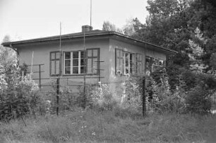 Blühender Garten am Teupitzer Wochenendhaus.