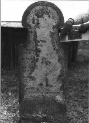 Grabstein 220 (Index: 100115106) Material: Sandstein Zustand: sehr stark verwittert mit sehr starkem Textverlust Maße HxBxT: 151x62x9 cm Beschreibung: Stele mit Hufeisenbogen: Grabstein 220