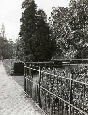 Eisenzaun und Hecke als Umgrenzung von Grünanlagen (schlechtes Beispiel für Einfriedungen)