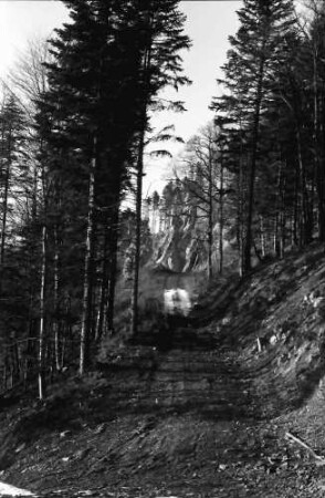 Wagensteig: Waldweg zum Steinbruch; Griesdobel