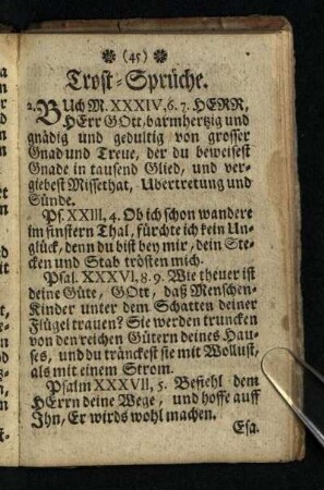 Trost-Sprueche