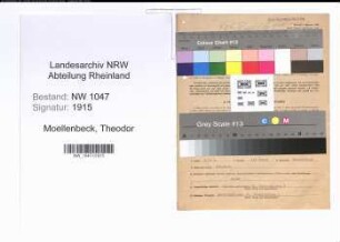 Entnazifizierung Theodor Moellenbeck , geb. 12.07.1901 (Landwirt)