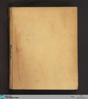 Metaphysica - Cod. Ettenheim-Münster 300