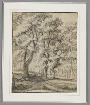 Waldweg
