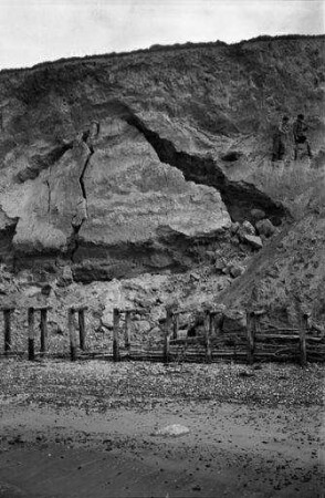 Ahrenshoop: Erdrutsch an der Steilküste bei Ahrenshoop