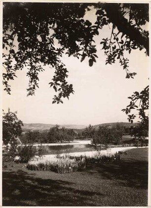 Reichsgartenschau 1939 auf dem Killesberg, Stuttgart: Staudenvergleichsschau