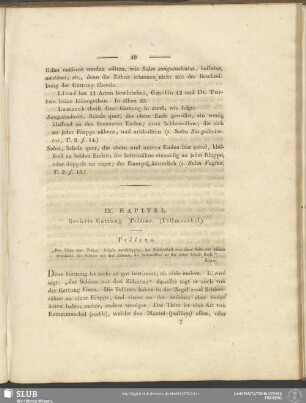 IX. Kapitel. Sechste Gattung. Tellina. (Tellmuschel)