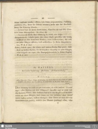 IX. Kapitel. Sechste Gattung. Tellina. (Tellmuschel)