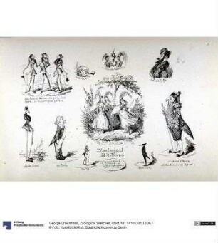 Zoological Sketches