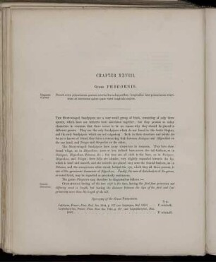Chapter XXVIII. Genus Phegornis.