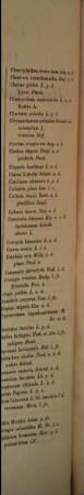 Index seminum in Horto Botanico Hamburgensi collectorum, 1862