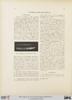 7.1904: Altertümer in Pola und Umgebung