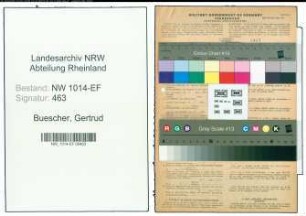 Entnazifizierung Gertrud Buescher , geb. 22.05.1913 (Kindergaertnerin)