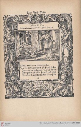 Das Buch Tobie