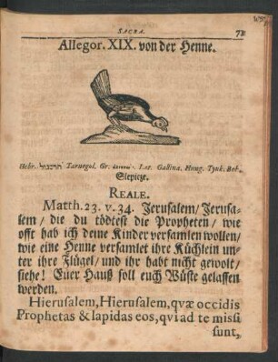 Allegor. XIX. von der Henne.