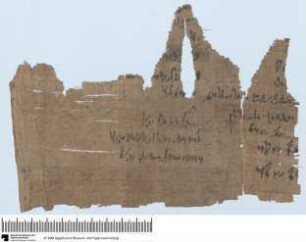 Demotischer Papyrus, Abrechnung zu landwirtschaftlichen Angelegenheiten