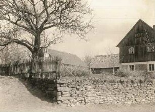 Prischwitz-Storcha, Kruzifix unter einem Baum bei einem Gehöft