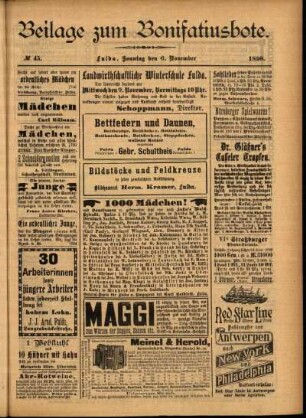 Zweite Ausgabe vom Sonntag, den 06. November 1898.