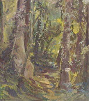 Urwald bei Amanie