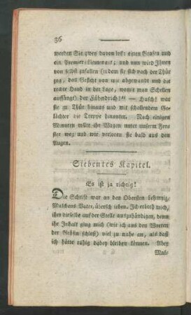 Siebentes Kapitel. Es ist ja richtig!
