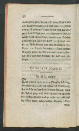 Siebentes Kapitel. Es ist ja richtig!
