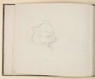 Katze mit ausgestreckter Zunge [aus einem Skizzenbuch vornehmlich mit Tier- und Pflanzenstudien]
