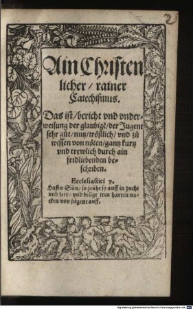 Ain christenlicher rainer Catechismus