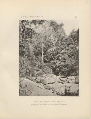 37. Brücke der Bagobos in Süd Mindanao = Bridge of the Bagobos in South Mindanao