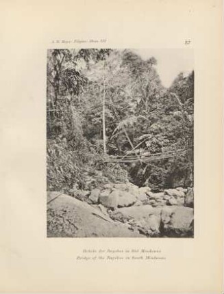 37. Brücke der Bagobos in Süd Mindanao = Bridge of the Bagobos in South Mindanao