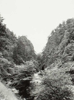 Schwarzwald, Höllsteig, Tunnel, 1938