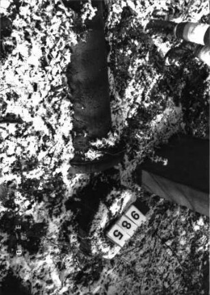 Grabstein 985