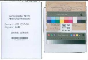 Entnazifizierung Wilhelm Schmitt , geb. 29.08.1901 (Kaufm.Angestellter)