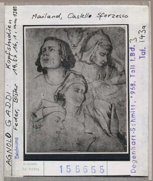 Agnolo Gaddi: Kopfstudien. Mailand, Castello Sforzesco