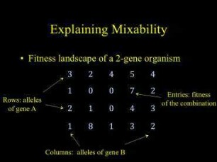Computational Insights and the Theory of Evolution