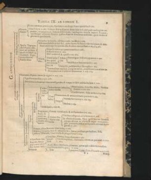 Tabula IX.