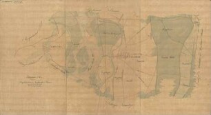 Topographischer Plan über den Hügelsheimer und Neuhäusler Bann