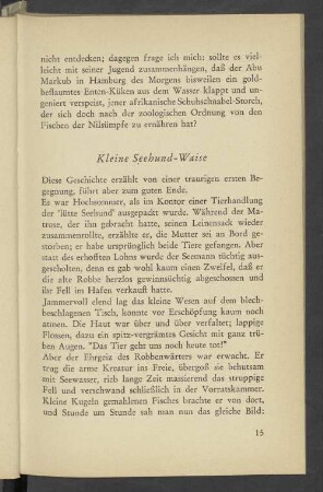 Kleine Seehund-Waise