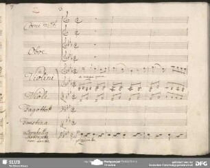 Cavatina: "Fanciulla sventurata"