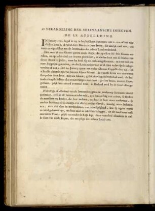 De LX. Afbeelding