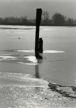 Winterzeit am Bodensee