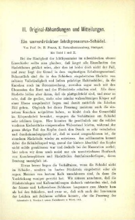 Ein unverdrückter Ichthyosaurus-Schädel