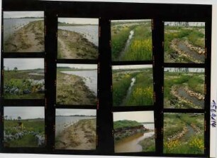 Mülldeponie, Neumünster, 1991